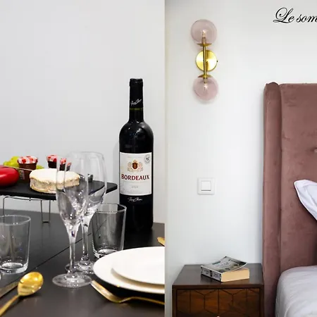 Apartment 214 Vuitton - Superb In *